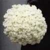 Цветы Варшава, flowers in warsaw, kupić róże, Доставка цветов Варшава, Цветы в Варшаве с доставкой, Заказать цветы в Варшаве, dostawa kwiatów, bukiet z dostawą, bukiet zamówić, kwiaciarnia mokotów, kwiaciarnia śródmiescie, kwiaty środmiescie, kupić kwiaty, kwiaty, róże, bouquet in warsaw, kwiaty do domu, kwiaty do wnętrza