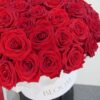 101 róż , 101 czerwonych róż, 101 red roses,101 красная Роза