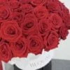 101 róż , 101 czerwonych róż, 101 red roses,101 красная Роза