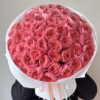 Pink expression tlo