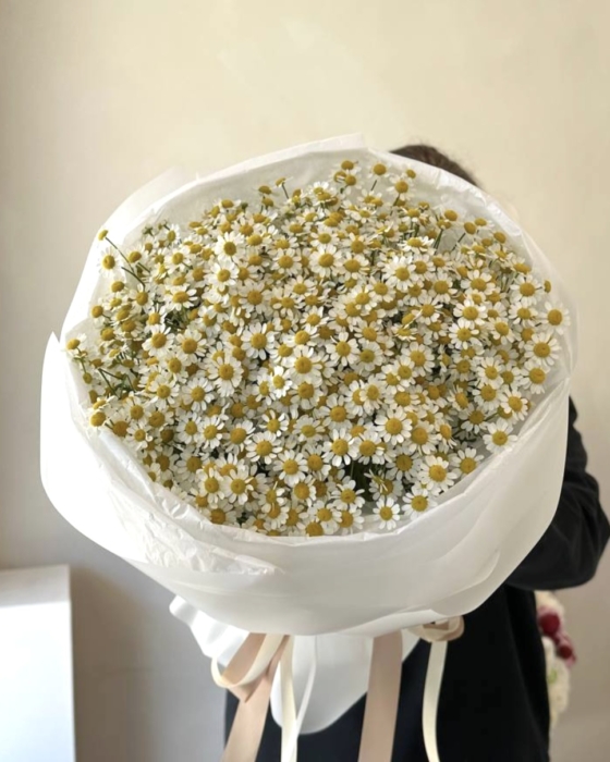 rumianek