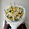 tulipany i bazie