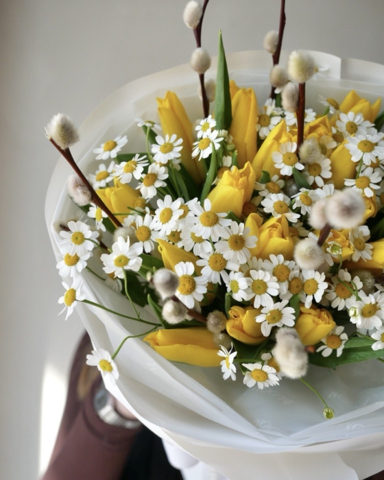 tulipany i bazie xxxx