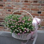Tulips basket