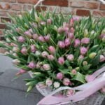 Tulips basket