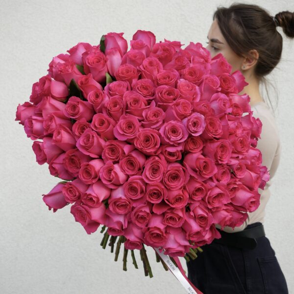 róża pink Floyd