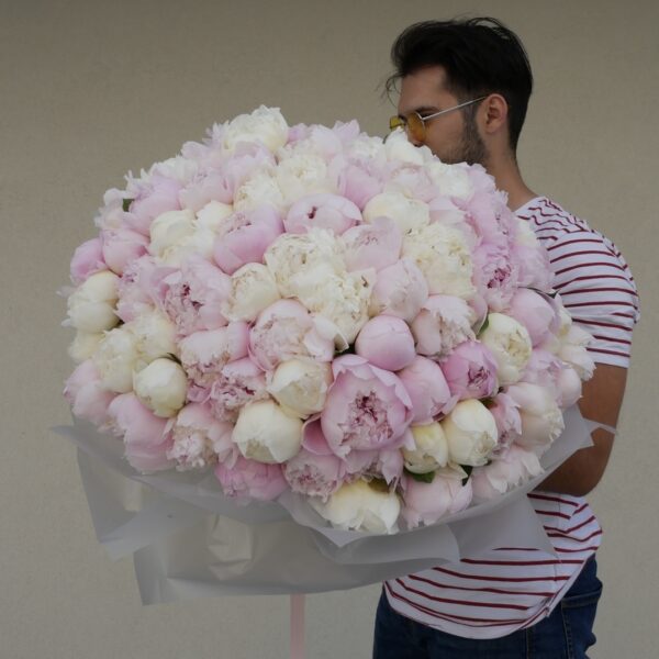 peonies peony