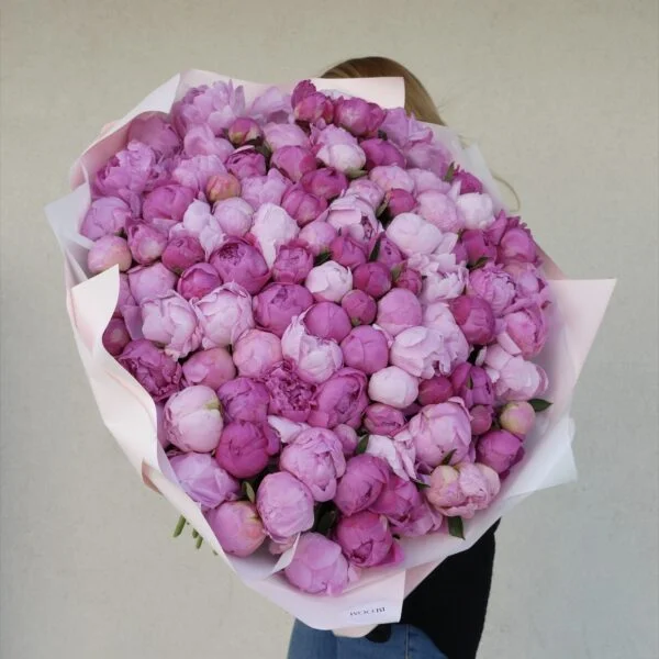 peonies peony