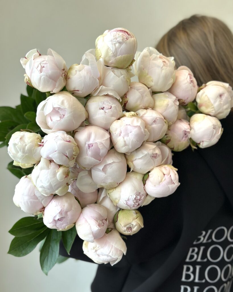 peony, piwonia, bukiet piwonii Warszawa