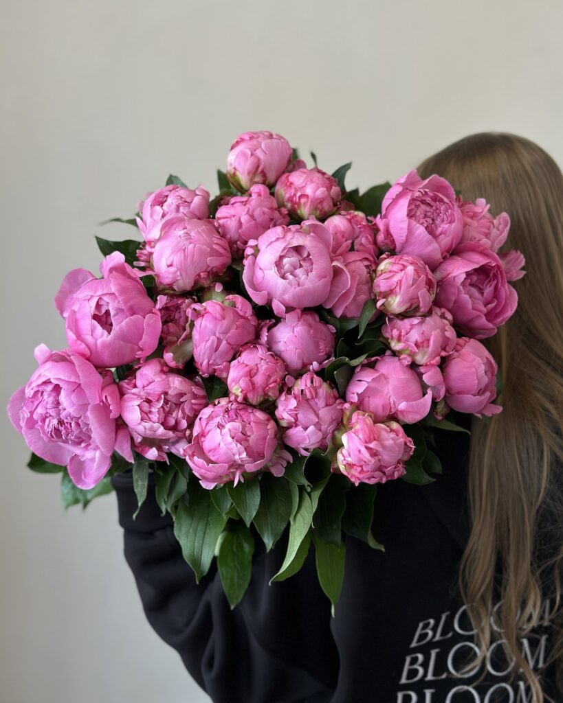 peony, piwonia, bukiet piwonii Warszawa