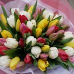 Mix tulipanów
