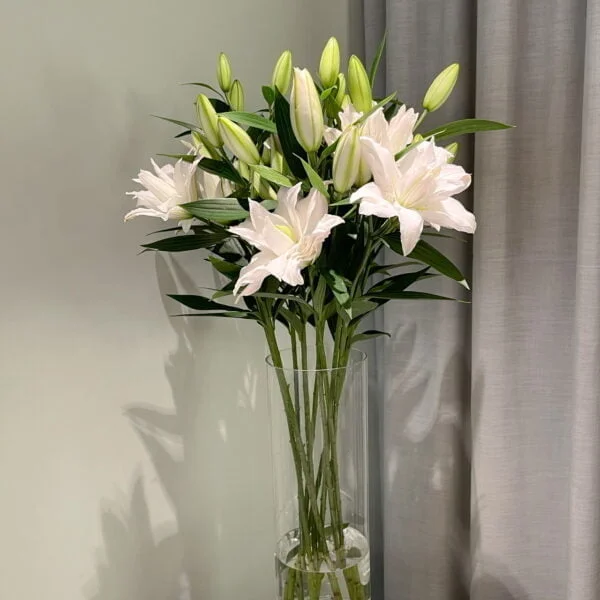Цветы Варшава, flowers in warsaw, kupić róże, Доставка цветов Варшава, Цветы в Варшаве с доставкой, Заказать цветы в Варшаве, dostawa kwiatów, bukiet z dostawą, bukiet zamówić, kwiaciarnia mokotów, kwiaciarnia śródmiescie, kwiaty środmiescie, kupić kwiaty, kwiaty, róże, Peony, piwonia, пионы, bouquet in warsaw, kwiaty do domu, piwonia, peonia, bukiet z piwonii, kwiaty do wnętrza,hortensjia, bukiet z hortensja