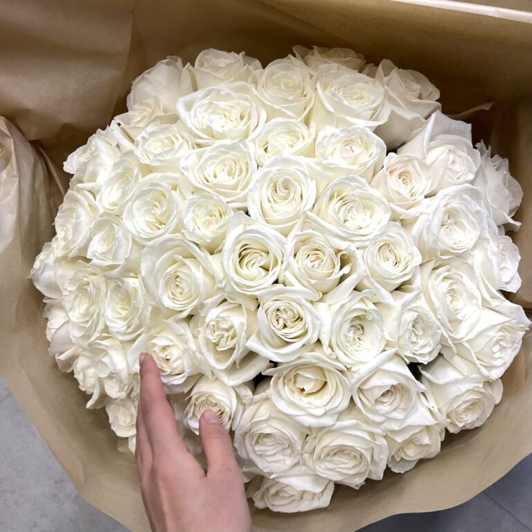 białe róże na walentynki