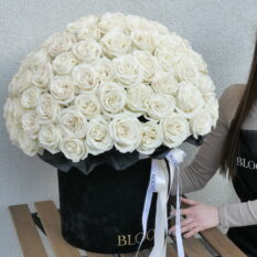 białe róże w czarnym pudelku