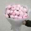 peony pink