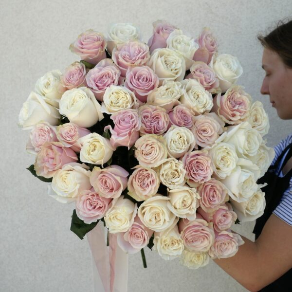 biało różowe róże