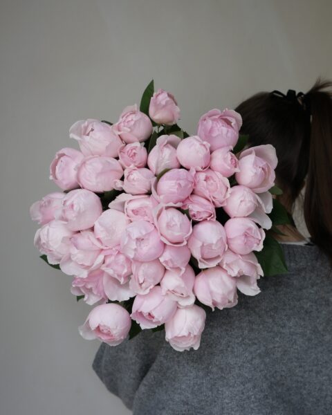 peony pink roses