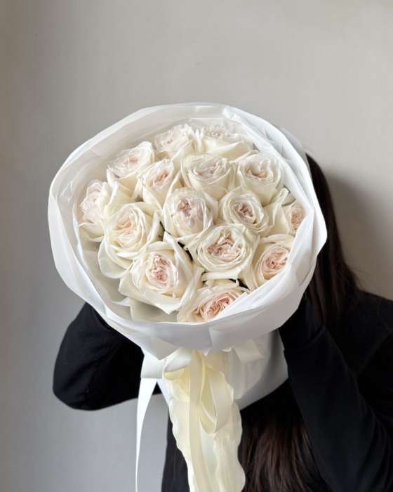 Roża White O'Hara 15