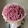 silva-pink-41