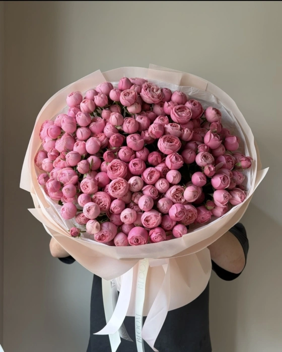 silva-pink-41