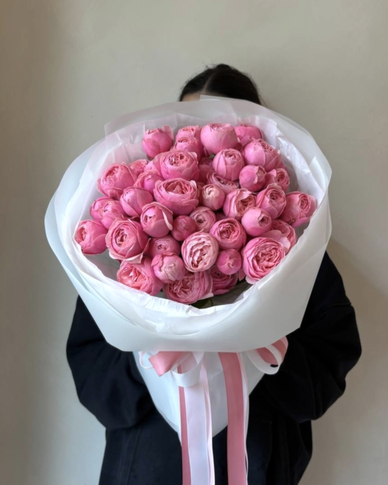 silva pink roses, róża peoniowa