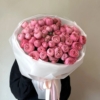 silva pink roses, róża peoniowa