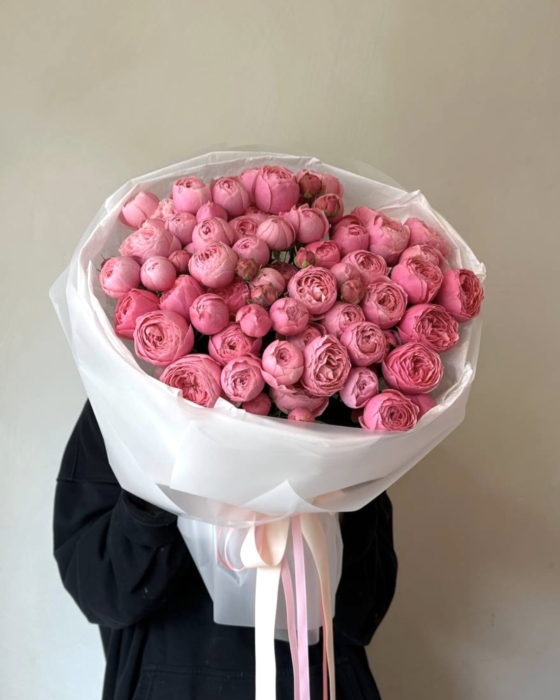 silva pink roses, róża peoniowa