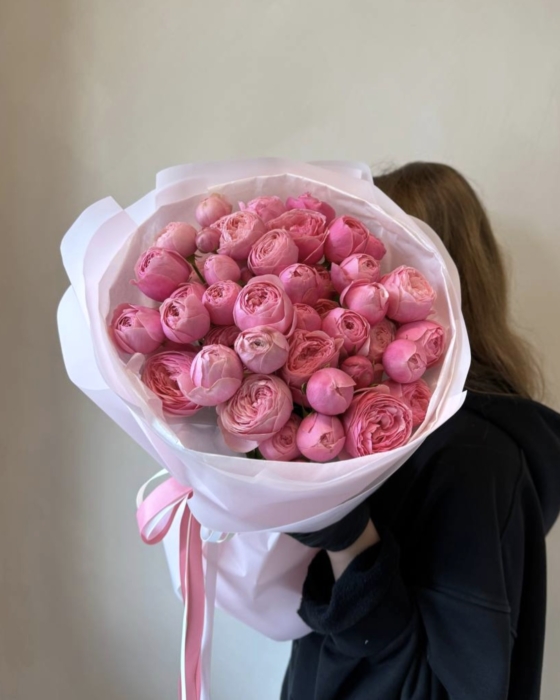silva pink roses, róża peoniowa