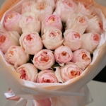 David Austin roses