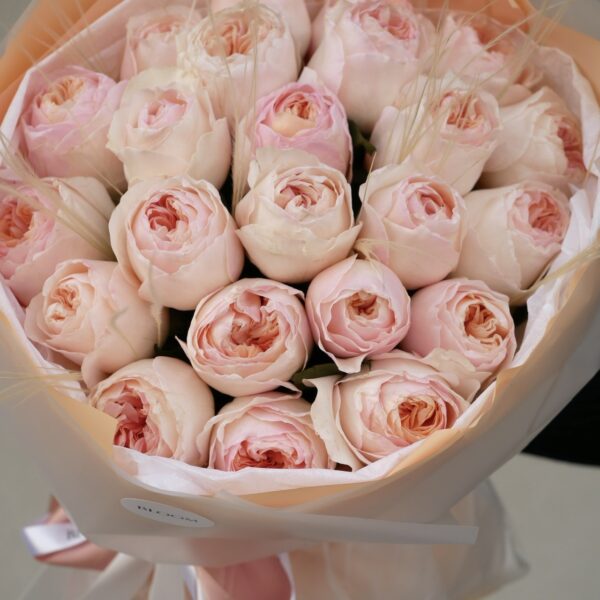 David Austin roses