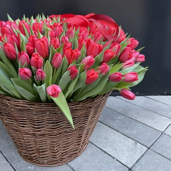 czerwone tulipany na walentynki