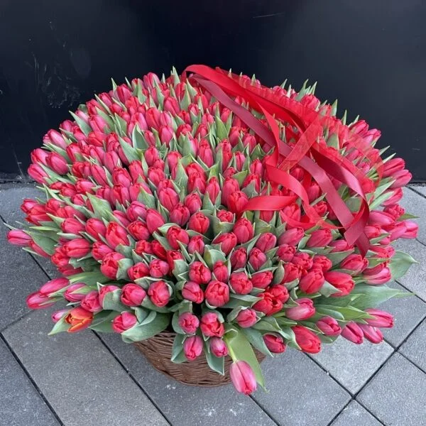 czerwone tulipany na walentynki