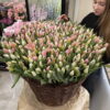 wiosenny bukiet tulipanów na 8 marca na dzień kobiet