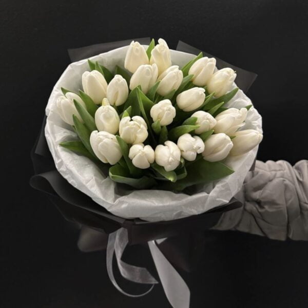 białe tulipany warszawa ,Белые тюльпаны Варшава , white tulips Warsaw
