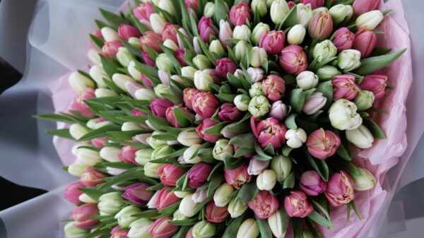 8 MARCA DZIEN KOBIET TULIPANY KWIATY Z DOSTAWĄ W WARSZAWIE