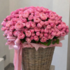 kosz silva pink 75