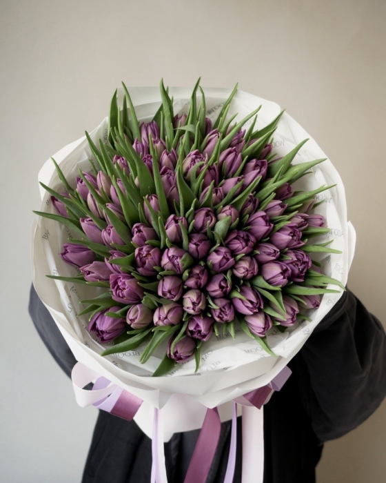 Fioletowe tulipany 75/2