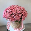 kosz silva pink 101
