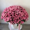 kosz silva pink 151
