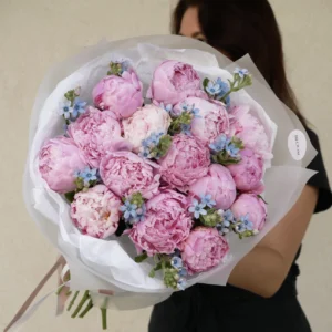 bukiet piwonii i oxy