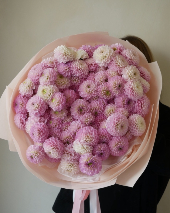 bukiet dahlia 101