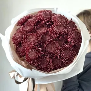 Na oblozku chryzantem