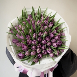 Fioletowe tulipany 75