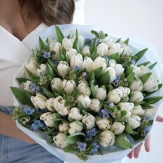 białe tulipany, oxy