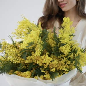 mimoza