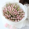 101 rozowy tulipan