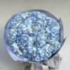 blue hydrangea