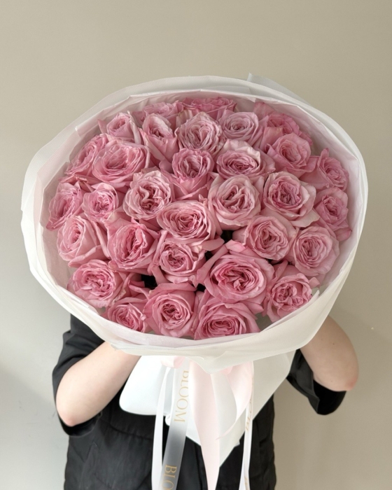 Roża Pink O'Hara 35