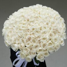 101 biała róża