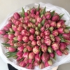 Tulipany-pełne-Columbus-xxx
